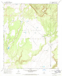 Bonito Prairie 1967 topographic map thumbnail
