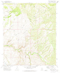 Booger Canyon 1972 topographic map thumbnail