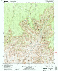 Bright Angel Point 1988 topographic map thumbnail