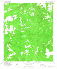 Brushy Canyon 1966 topographic map thumbnail