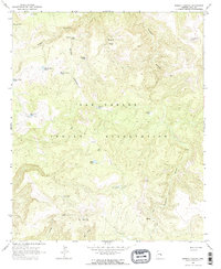 Brushy Canyon 1966 topographic map thumbnail