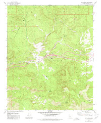 Bull Spring 1980 topographic map thumbnail