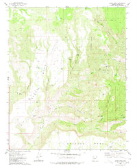 Burro Mesa 1980 topographic map thumbnail