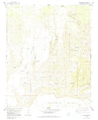 Burro Mesa 1980 topographic map thumbnail