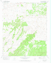 Cactus Flat 1970 topographic map thumbnail