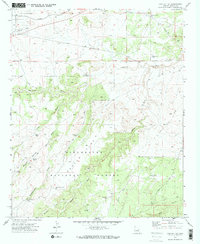 Cactus Flat 1970 topographic map thumbnail