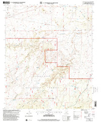 Cactus Flat 1998 topographic map thumbnail