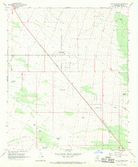 Cactus Forest 1966 topographic map thumbnail