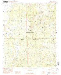 Camp Wood 1986 topographic map thumbnail