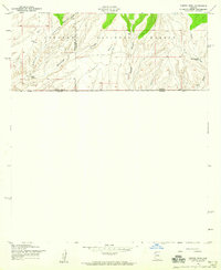 Campini Mesa 1958 topographic map thumbnail