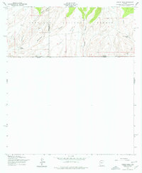Campini Mesa 1958 topographic map preview