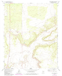 Ceadro Spring 1977 topographic map thumbnail