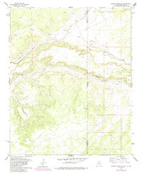 Ceadro Spring SE 1979 topographic map thumbnail