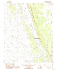 Cedar Ridge 1988 topographic map thumbnail