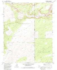 Chafin Well 1971 topographic map thumbnail