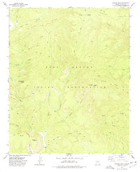 Chediski Peak 1977 topographic map thumbnail