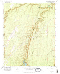 Chevelon Crossing 1965 topographic map thumbnail