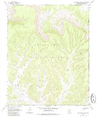 Chilchinbito Canyon 1968 topographic map thumbnail