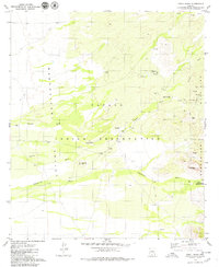 Chiuli Shaik 1979 topographic map thumbnail