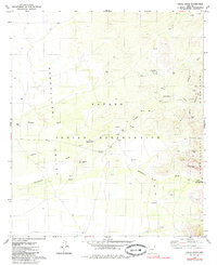 Chiuli Shaik 1979 topographic map thumbnail