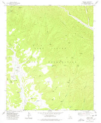 Cibecue 1977 topographic map thumbnail