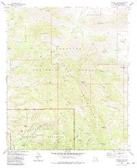 Cochise Head 1979 topographic map thumbnail