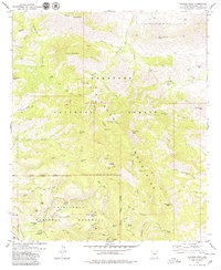 Cochise Head 1979 topographic map thumbnail