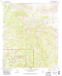 Cochise Head 1979 topographic map thumbnail