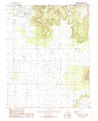 Colorado City 1988 topographic map thumbnail