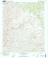 Cooks Mesa 1967 topographic map thumbnail