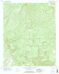 Copper Mtn 1964 topographic map thumbnail