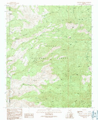 Coronado Mountain 1989 topographic map thumbnail