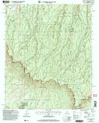 Dane Canyon 2004 topographic map thumbnail