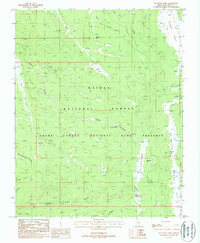 De Motte Park 1988 topographic map thumbnail