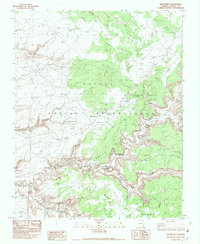 Del Muerto 1982 topographic map thumbnail