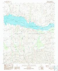 Dewey Flat 1989 topographic map thumbnail