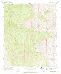 Diamond Joe Peak 1967 topographic map thumbnail