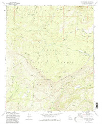 Diamond Point 1973 topographic map thumbnail