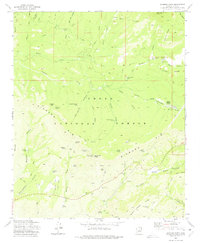 Diamond Point 1973 topographic map thumbnail