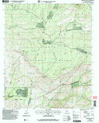 Diamond Point 2004 topographic map thumbnail