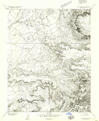 Dinne Mesa SE topographic map thumbnail