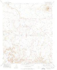 Elephant Butte 1972 topographic map thumbnail
