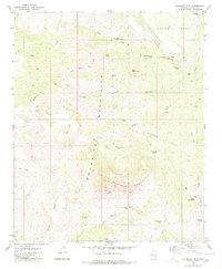 Elephant Mtn topographic map thumbnail