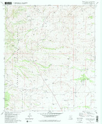 Empire Ranch 1981 topographic map thumbnail