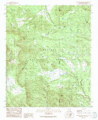 Escudilla Mountain 1991 topographic map thumbnail