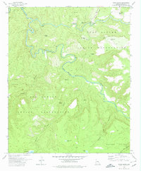 Forks Butte 1978 topographic map thumbnail