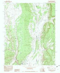Fort Defiance 1982 topographic map thumbnail