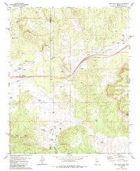Fort Rock Ranch 1980 topographic map thumbnail