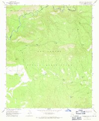 Freezeout Mountain 1967 topographic map thumbnail