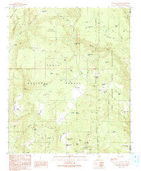 Gentry Mountain 1990 topographic map thumbnail